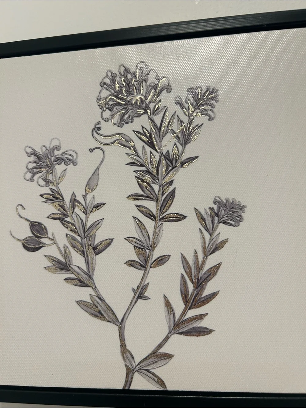 Botanical Wall Art Set - Black Frame, canvas Prints